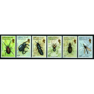 Insectos